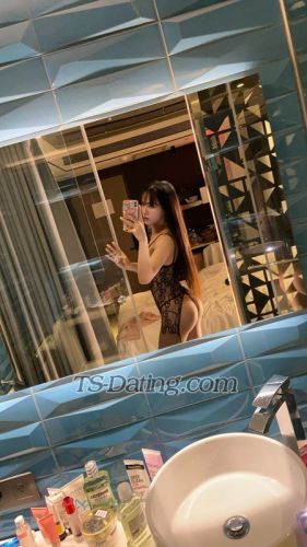 trans girl Jessyladyboy 3942483