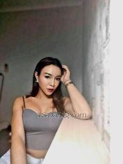 Jolin Chiang Rai Transex Hi gents,
I'm Jozy, your naughty ladyboy (available in the northern city of Chiang Rai)
I have a sweet mouth 😜 good fuck 🍆 and reasonable rates💰
I have honey-colored skin | 38-29-32 | height 168 cm (5' 6') | 59 kg (130 lbs)
I'm versatile, enjoy top or bottom and oral
Available to meet incall or outcall, can meet 1-on-1 or threesomes or more
What's your pleasure? I enjoy to fuck M LB or L
I offer unforgettable an erotic massage that will blow your mind and your load! 😳
Oil / body to body / threesome 4 hands available too.
Whatever your fantasy, whatever feels good. Let me or us service you.
Can meet short time, long time, overnight.
Also available for trips outside Chiang Rai for extended stays starting at 11000 THB per day.
Also available for regular clients in Chiang Rai for erotic massage therapy or if you just need a regular release.
Don't be shy. Hit me up and let's take care of your needs today 🙏🏼

ST rates:
1 hour 1800 THB
2 hours 3000 THB
3 hours 4000 THB
Overnight 5000 THB

We can also do camshow 15 mins= 500 THB | 30 mins= 800 THB
I have 90+ videos/sex videos for sale= 1200 THB
or we can make our own when we meet in person
Want to meet or know me more? 🤔
Contact: message me on LINE app: jajay56
or Whatsapp: + six six 88 six 5 six 5 829
Mobile# click on the 📞 above

I look forward to meeting you soon
Thank you 🙏🏼

Per hour from
฿1,800 (US$55)
