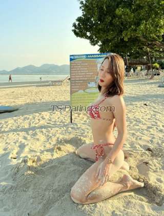 trans girl Jusmin 6220746