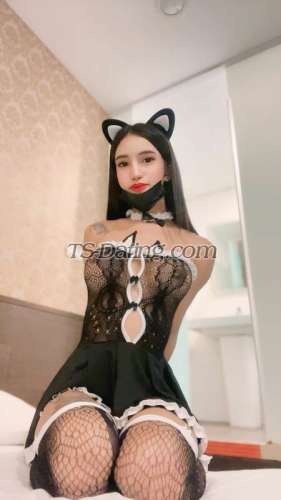 trans girl jadepamplona1 6519375