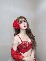 jenniee004 Taoyuan Transex WhatsApp : +66855483254Hi my name is jennie 22years I'm
first time  old 171cm 51kg I'm friendly, cute and playful. I
hope you like my profile.WhatsApp :
+66855483254Telegram: +66855483254