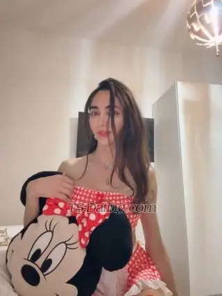 Shemale jessybarbi 9901623 Shemale jessybarbi 9901623