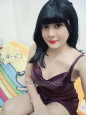 jihan almira Penang Transex hi babe ,  nice to meet you🙏🏽 Greetings all.
I can serve you, at my place and at your place. I will try to provide the best service for you, thank you. my whatssap +60 14-701 2098