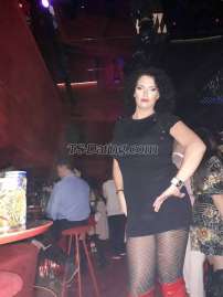 KURNELIA Sunny Beach Transex BIG BOOBS И БОЛЬШОЙ ДИК! Располагающие трансвестита, снизу и сверху предлагает удовольствия только для хорошо финансируемых упакованных gentlements и семей против определенного платежа. Позвони мне сейчас!!!!  Gut ausgestattet Transvestit, OBEN унд UNTEN bietet Vergnügen Nur für кишка verpackt унд finanziert gentlements Фамилиен GEGEN bestimmte Zahlung. Позвони мне сейчас!! 