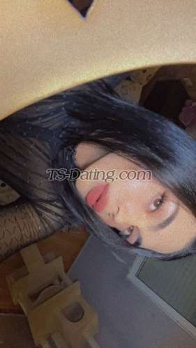 trans girl Kamelyaa 8387765