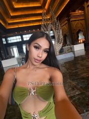 Karina vers Bali Transex my name is Karina, new escort, I live in Bali now and if you need my services, you can send a short message to WhatsApp. I can do all services and during sex you need to use a condom but don't worry, blowjob without a condom. If you guys want to have fun with me, please let me know. Thank you, see you in bed 
Telegram:@dwy_inces
200$