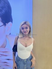 Kataleya03 Manila Transex wechat: kataleya03
Whatsapp:
‪+639810119285‬
Telegram: @gorgdyosa

Hello
loves!

Your new favorite from philippines finally
arrived. A fresh, young, asian cutie is now in kuala lumpur
. I'm TS kataleya, 21 years of age from the Philippines. I'm
well-educated and most importantly, a well-mannered and
patient shemale. 

EVERYONE IS WELCOME TO HAVE ME
❤️
If you are young guy, first timer, curious,
student, traveler & explorer who's willing to taste and try
the real meaning of SATISFACTION, 100% clean and safe don't
waste your time and contact me now!!! 
 

