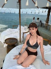 Katherinekath Taipei Transex Hello I’m Katherine you can call me KAT I’m come from Thailand 🇹🇭
I’m Pre-op Bottom and Top 
 incall or outcall up to you want 
We can make a good time together I like drink and talking if you want just tell me 🌈🍻💕

I’m so bekind and lovely when spent time with you. If u would like to know more about me just add my Line account

Line ID : kathycatkat
Whatsapp : +66800782665
Telegram : @katherinecatcat