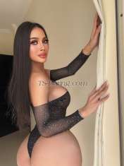 Katoon1999 Manama Transex try  me if you need to enjoy and have a good time  my new
WhatsApp :  +66 644187399
Line : lalita.67
IG:
_kartns
Only fans : mimithai69

Hello  Istanbul
🌟🦋📍 katoon is here right now 
Welcome Guys
💋

Let's me be the one who bring your Fantacy
come true..

Am 5'7 tall sexy ladyladyboy,
friendly,kind,great personality,well speaking English,
easygoing to hang out with..💋❤

i can do both
(top +bottom)🤓
-domination ✌🏾
-couples
💦
-massage first for start ❤️
- first time
experience for ladyboy
- deepthroat 💋 😍
-fuck
lady 


- cum in 🤤 ( mouths/
face)
-golden shower 🚿
Any service you can design
🔥
I also have another trans friend if you want to do
3 somes
Add me for chat , get to know and try me babe
❤️

My 🍆 7 innch 💧💦 hope you
enjoy
I got 7 inches
Real big real hard , cum like
milkshakes
My photos 100% real ❤️💋
>>>Try ME 