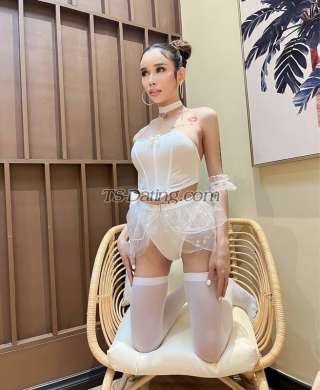 trans girl Katrinacat 3096411 trans girl Katrinacat 3096411