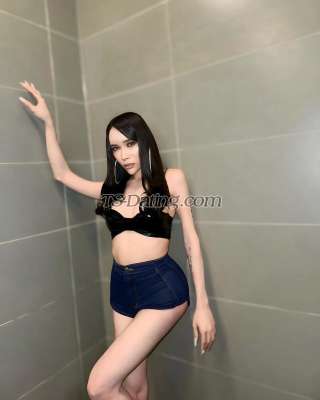 trans girl Katrinacat 7416329 trans girl Katrinacat 7416329