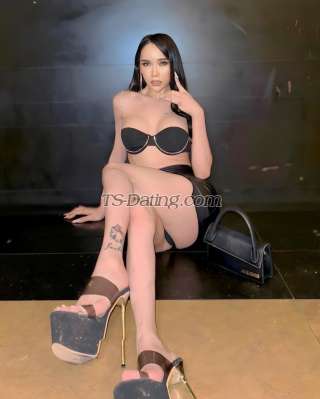 trans girl Katrinacat 9609603 trans girl Katrinacat 9609603