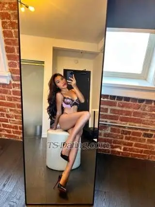 Shemale Katrinbella 1542741