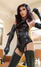 KattyKinky Kuala Lumpur Transex Step Into My World - Where Elegance Meets Absolute Control.

I’m Queen Katty, Kuala Lumpur’s elite Transsexual Mistress, known for refined beauty, intellectual charm, and an irresistible commanding presence. Whether you seek sensual domination, mental surrender, or tailored roleplay, I provide an upscale experience designed around your deepest desires and boundaries. Each encounter is uniquely curated always consensual, discreet, and unforgettable. 

My Style 
Elegant. Powerful. Controlled.
Every session is about mutual respect, chemistry, and mindful surrender. You may tremble under my gaze, but you’ll never feel unsafe.

I embrace clients of all experience levels, from shy first-timers to seasoned submissives. I believe in guided exploration and lasting impressions, not rushed encounters. 

Kinky/Fetish/BDSM Services Offered:
1. Kinky Girlfriend Experience (GFE)
2. Tease and Denial
3. Roleplay Scenarios
4. Cuckold Dynamics
5. Feminization/Sissy Transformation
   - Make-up Application (Heavy Make-up Available)
   - Clothing Fetish and Worship
     - Latex/Rubber/Full Leather Cat Suit
     - Sexy Body Suit (Leotard)
     - Garters, Stockings, and Panties
6. Rimming/Ass Licking (Giving and Receiving)
7. Oral Services (Receiving and Giving)
8. Rope Bondage
   - Shibari/Kinbaku
   - Frog Tie
   - Hogtie
9. Mummification
10. Nipple Play and Torture
11. Edging, Milking, and Force Orgasms
12. Force Cum-Eating 
13. Foot Fetish and Foot Jobs
14. Cock and Ball Torture (CBT)
   - Ball Busting
   - Ball Spanks
   - Slapping and Spanking
   - Whipping, Flogging, and Caning
15. Key Holder in Chastity (Cock Cage)
16. Contract Dominatrix (Controller) 
17. Variety of Sex Toys
18. Strap-On Play
19. Anal Play
   - Fingering
   - Prostate Massage
   - Fisting
   - Foot Fucking
20. Dog Training Play
21. Golden Shower
22. Party and Play (Extended Sessions)
23. Incall and Outcall Services 

Please share your fantasies, fetishes, or any specific limits you have regarding the sessions you're interested in. I’m here to cater to your desires and ensure a fulfilling experience

Etiquette 
Please be respectful in your first message. 
Introduce yourself briefly and include your preferred date/time, duration, and interests. Rude or explicit messages will be ignored and blocked. 
Cleanliness, discretion, and manners are non-negotiable. 

Contact Me : 
Available daily with advance notice.
Contact 
Call/WhatsApp: +60 11 2756-3607 
WeChat: ts_katty95 

I look forward to getting you in front of Me on your knees... !! 