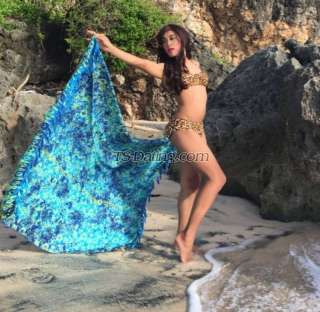 trans girl KattyKinky 2595154