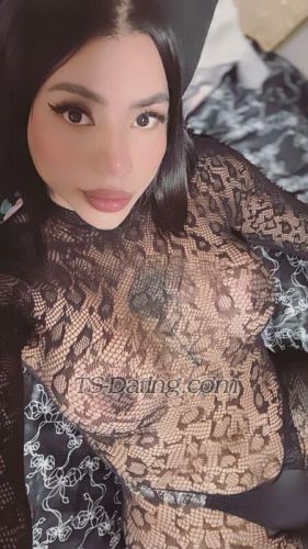 trans girl KattyWong 3465443 trans girl KattyWong 3465443