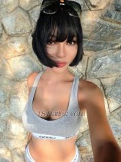 KawintraTS Pattaya Transex Hello gentlemen
I'm Kawintra from Pattaya,Thailand 
I'm a massage therapist
I have more than 5 years of work experience 
I always provide gentle, sincere, and friendly service to my customers.

If you are traveling to Pattaya and want to relax and experience gentle pampering and an unforgettable intimate touch, contact me.
**The fastest way to contact me is via WhatsApp.**

It is a great honor and a pleasure to be of service. 😇🙏