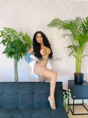 Kendals26 Athens Transex Hello My Loves, I am Roxana, A Luxury Escort with a Fitness
Body Desired, to offer you my best VIP services, do not
hesitate to contact me, you will not regret it.!
