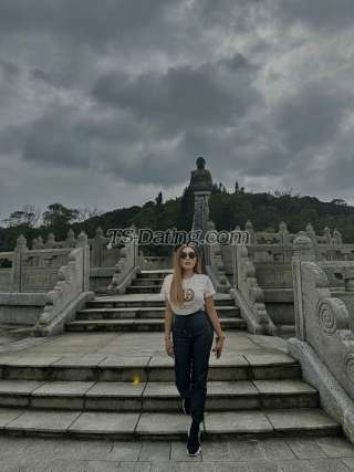 trans girl SeductressTS 9093304