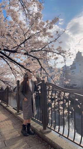 trans girl Khaciejanna 0854085