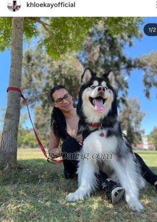 trans girl Khloecandy 1581682