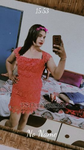 trans girl Khwahis 3408704