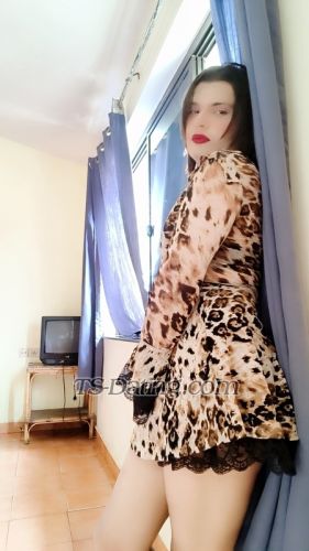 trans girl Khwahis 3410449