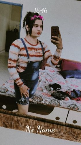 trans girl Khwahis 3410597