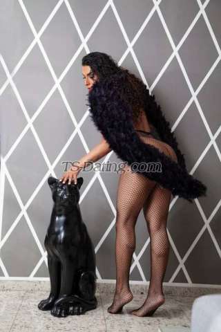 trans girl Kikahotgirl 3581569