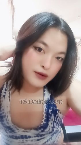 trans girl Kim26 2967327