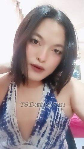 trans girl Kim26 2967349