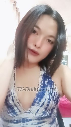 trans girl Kim26 2967363