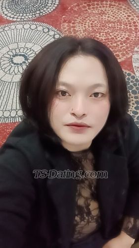 trans girl Kim26 8510669