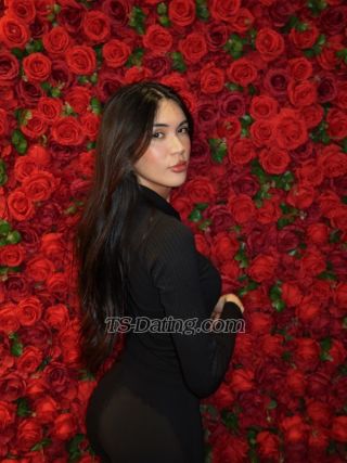 trans girl KinkyKim 3880265