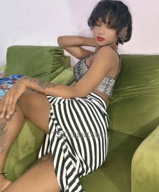 trans girl Kitturani 8038299