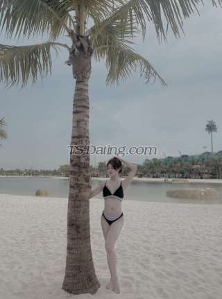 trans girl Kitty6789 6593343