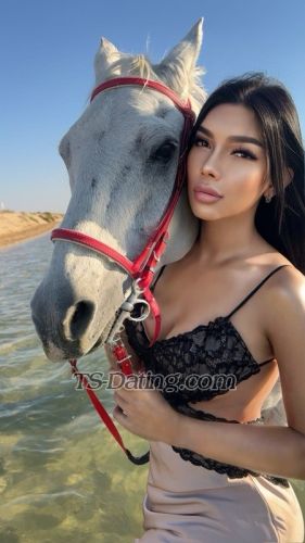 trans girl KkCat 7521427 trans girl KkCat 7521427