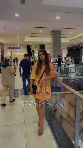 trans girl KrystalSweet 7906419