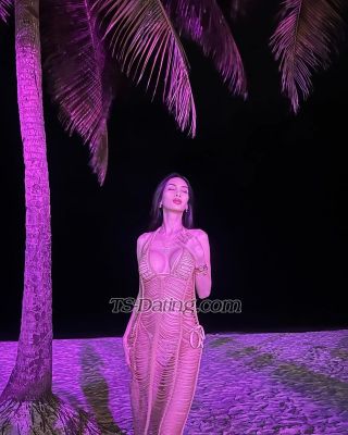 trans girl KylieHendrix 8506887 trans girl KylieHendrix 8506887