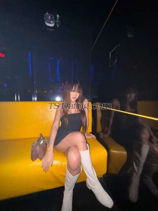 trans girl KylieYee 3398329