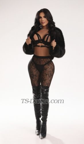 trans girl Kynasha 6837832