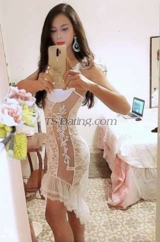 trans girl kattoy 3580111