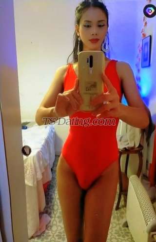 trans girl kattoy 3748554