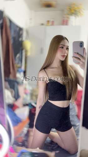 trans girl kimmykimmy 4493603