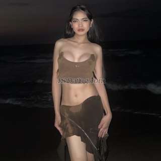 trans girl kittykang 7873268