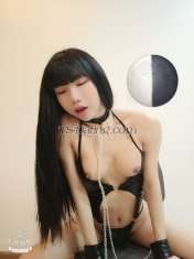 Ladyboy1999 Ho Chi Minh ci Transex Oi, eu sou ladyboy vietnamita Fique na cidade de Ho Chi Minh Vietnã, eu broche e makelove escolta muito agradável, entre em contato comigo whatsapp +84793755681 ID da linha: ladyboyy99  Instagram: linhchi_ladyboy