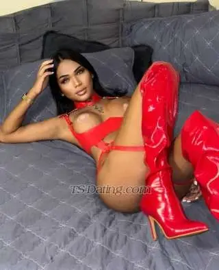 Shemale LadyboyCalisa 9555273 Shemale LadyboyCalisa 9555273