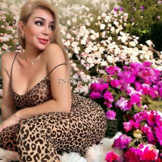 trans girl LadyboyOlahh 4116567