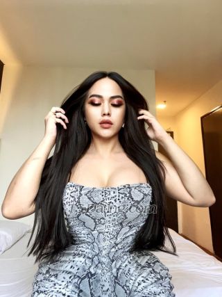 trans girl Ladyboycaca 3760931