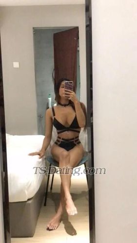 trans girl Laraolive 3248541 trans girl Laraolive 3248541
